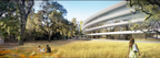 Neues Apple-Hauptquartier in Cupertino – Apples neues Hauptquartier in Cupertino ist von einer grossen Fläche mit vielen Bäumen und Wiesen umgeben.