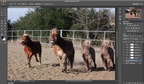 Inhaltsbezogene Bildmanipulation – Photoshop CS6 bietet verbesserte Möglichkeiten, um einzelne Elemente eines Bildes umzuordnen. Bildquelle: macworld.com