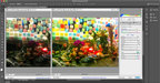 Camera Raw 7 – Wie jede neue Photoshop-Version bietet auch CS6 eine neue Fassung von Adobes Raw-Konverter. Bildquelle: macworld.com