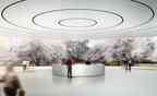 Neues Apple Raumschiff HQ «Campus 2» – Quelle: Apple & City of Cupertino/cupertino.org